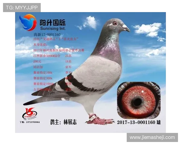 全面解析AG国际网页版登录流程，助您轻松应对登录验证与账户管理